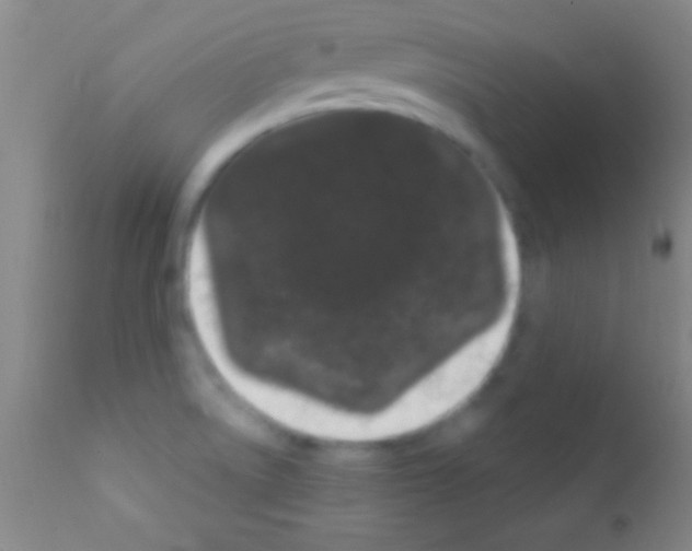 X0000111891522200909031853