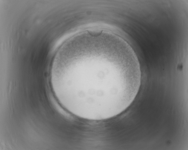 X0000111891523200909031853