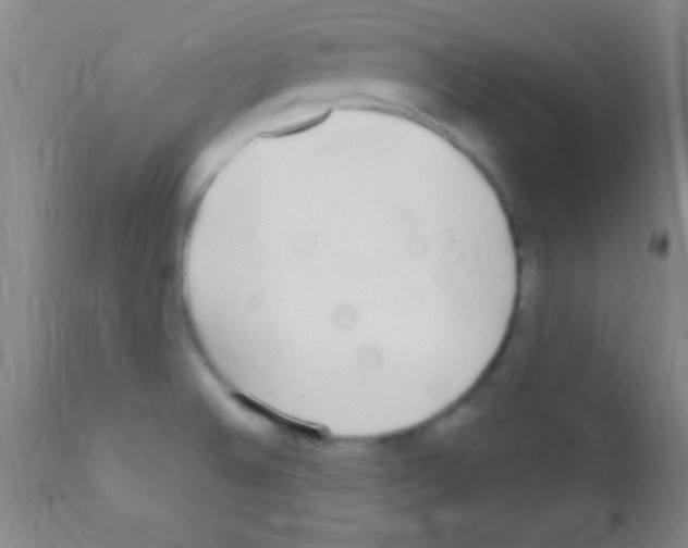 X0000111891524200909031853