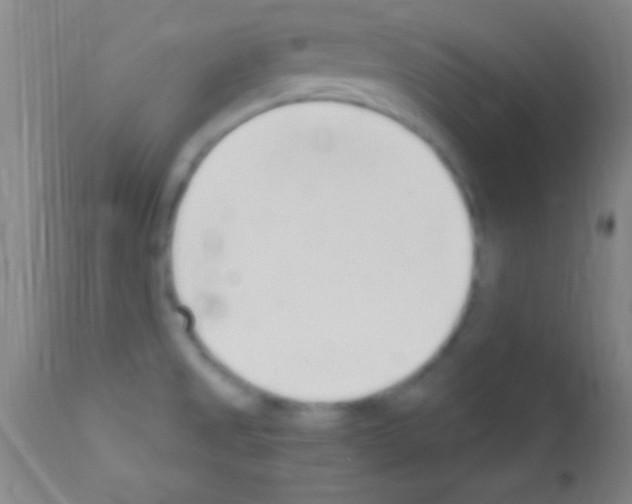 X0000111891525200909031853