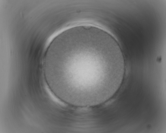 X0000111891526200909031853