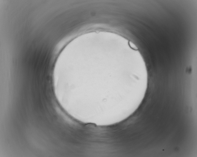 X0000111891527200909031853