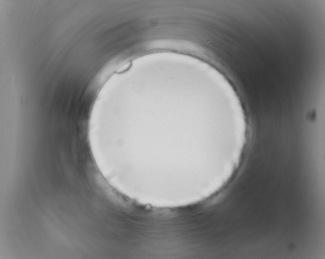 X0000111891529200909031853