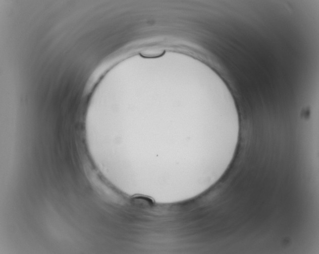 X0000111891530200909031853