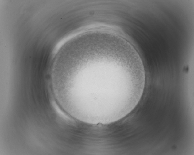 X0000111891531200909031853