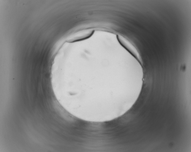 X0000111891532200909031853