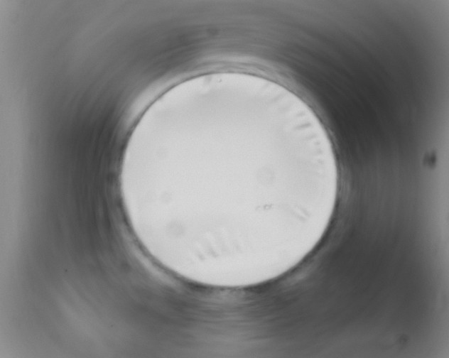 X0000111891533200909031853