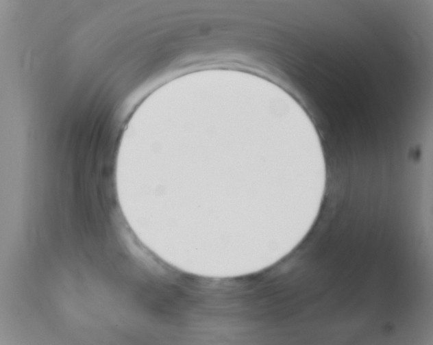 X0000111891534200909031853