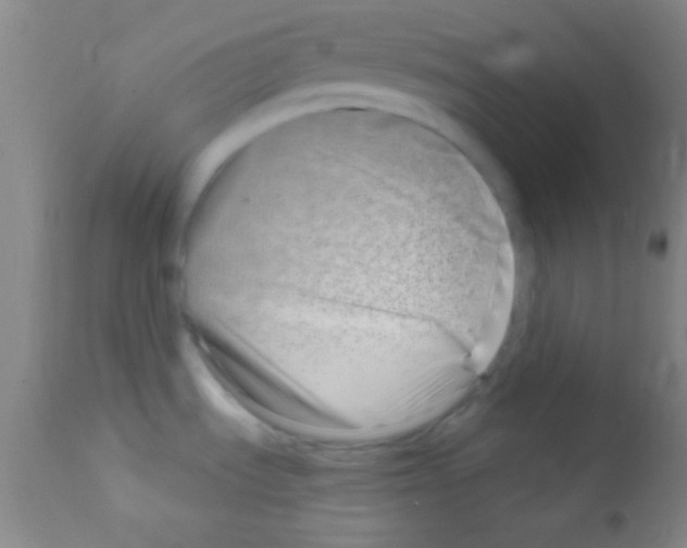 X0000111891535200909031853