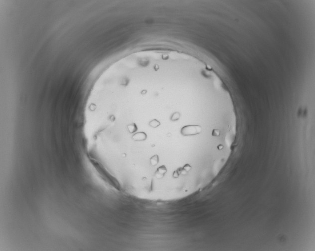 X0000111891536200909031853