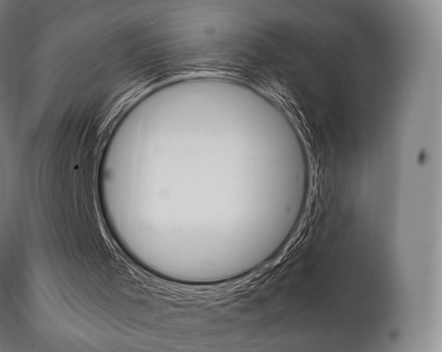 X0000111900001200907271022