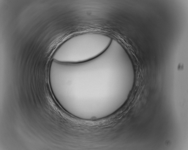 X0000111900002200907271022