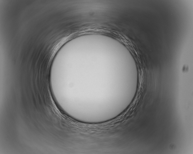 X0000111900003200907271022