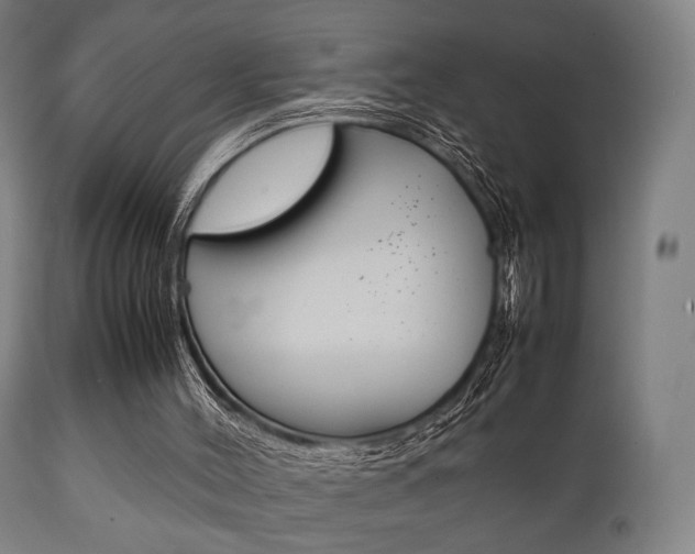 X0000111900004200907271022