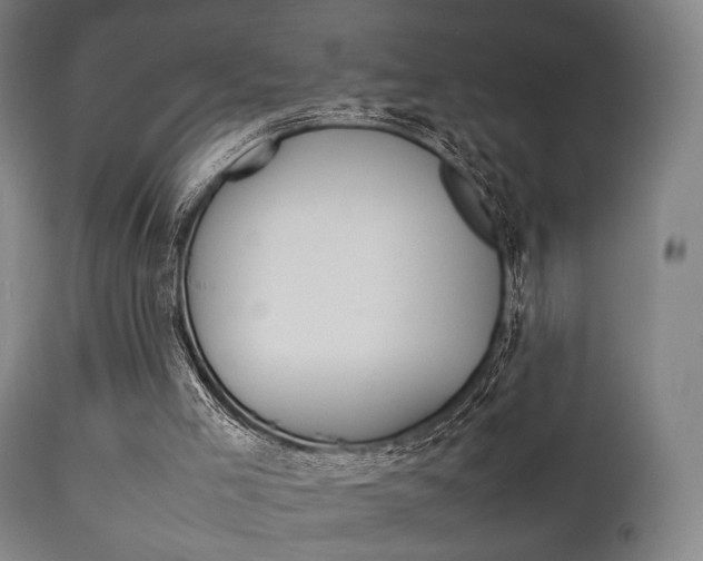 X0000111900005200907271022