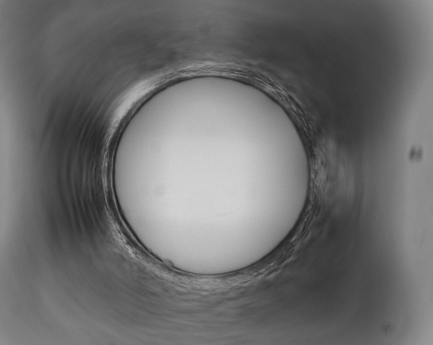 X0000111900006200907271022