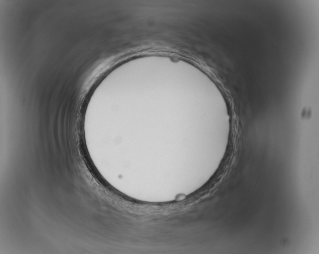 X0000111900007200907271022