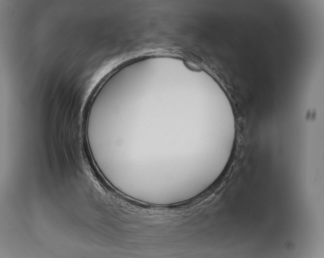X0000111900008200907271022
