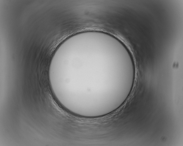 X0000111900009200907271022