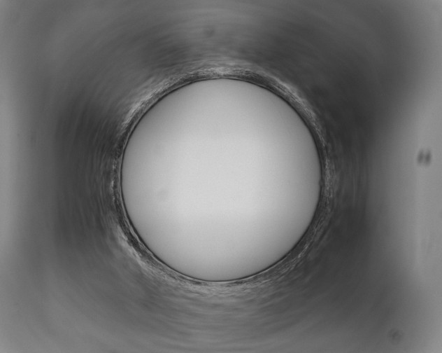 X0000111900010200907271022