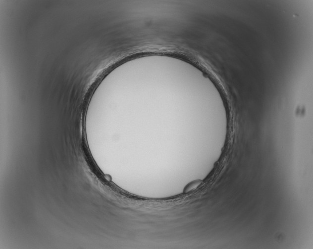 X0000111900011200907271022