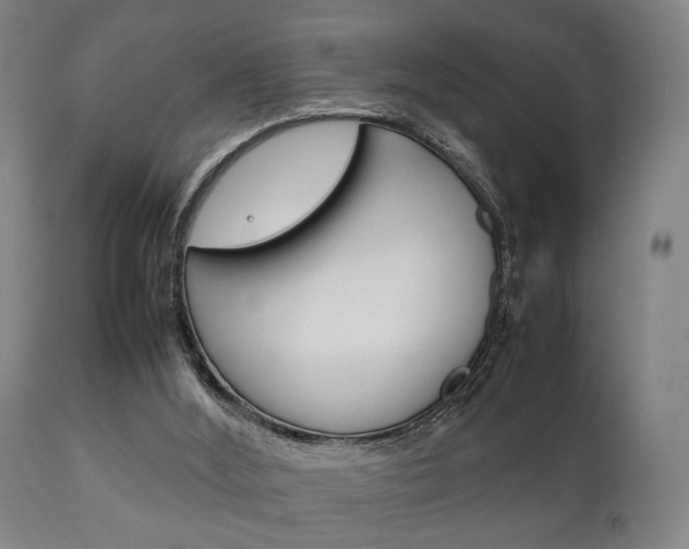 X0000111900012200907271022