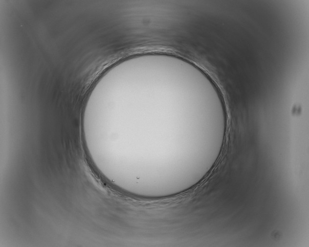 X0000111900013200907271022
