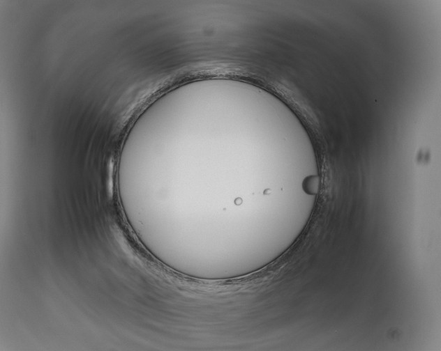 X0000111900014200907271021