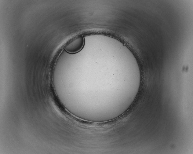 X0000111900016200907271021