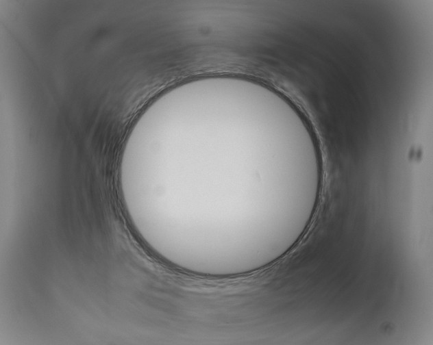 X0000111900017200907271021