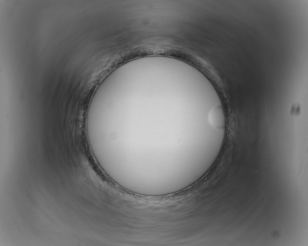 X0000111900018200907271021