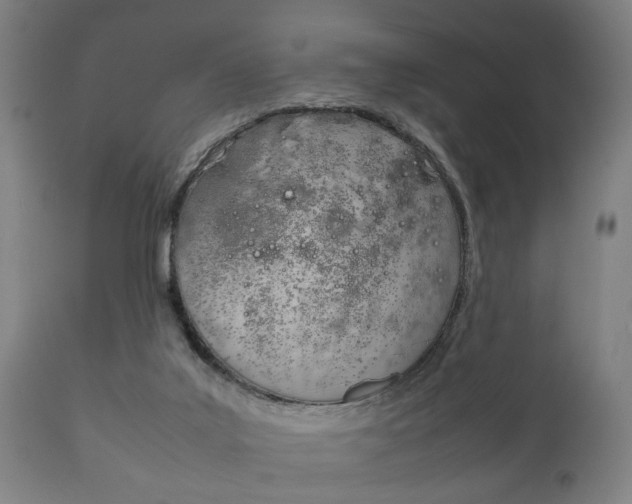 X0000111900019200907271021