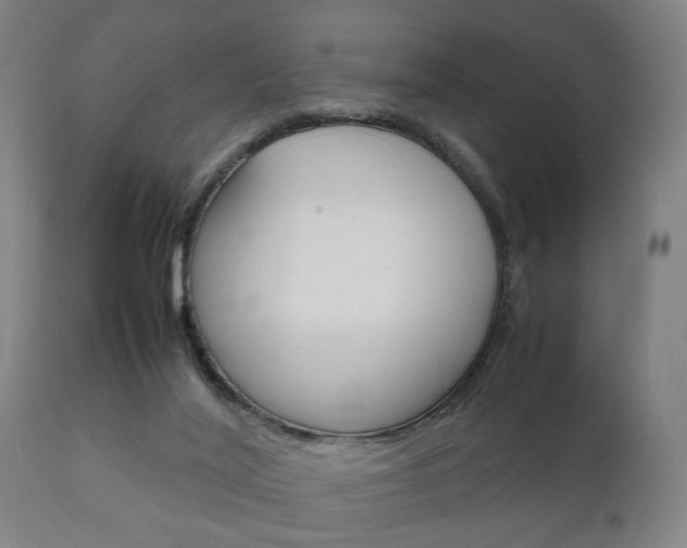 X0000111900020200907271021