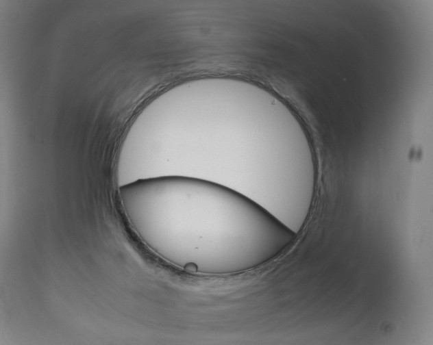 X0000111900021200907271021