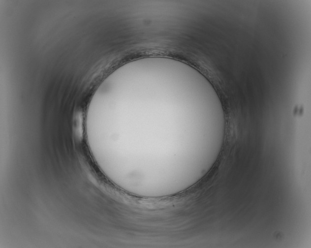 X0000111900022200907271021