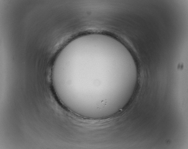 X0000111900023200907271021