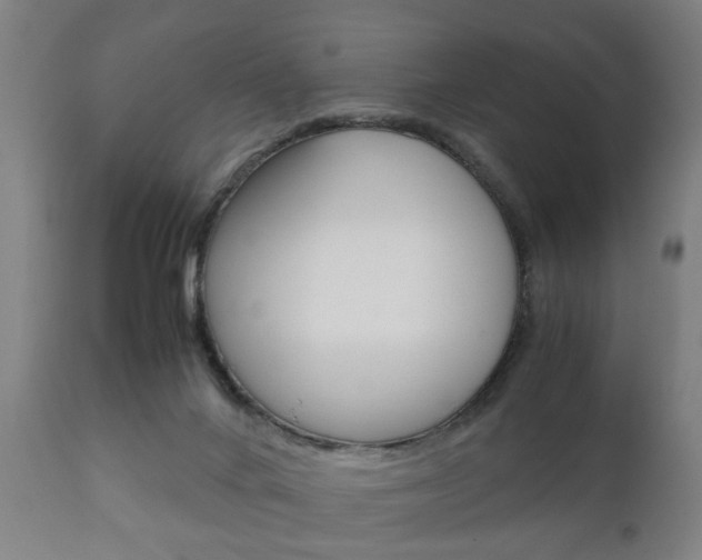 X0000111900024200907271021