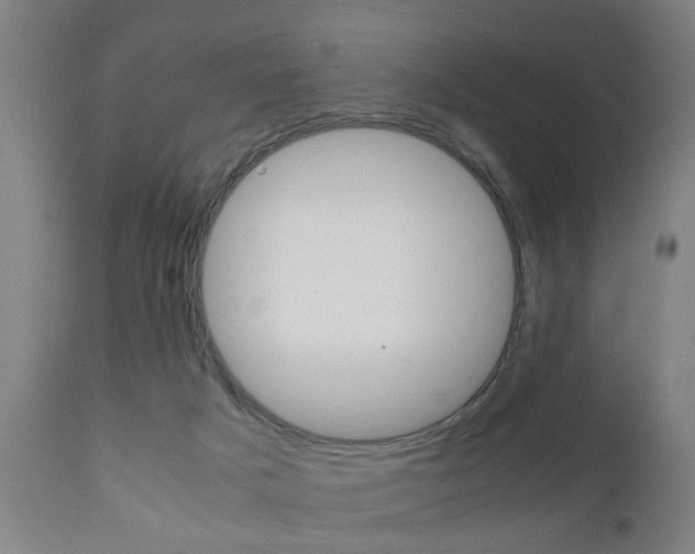 X0000111900025200907271021