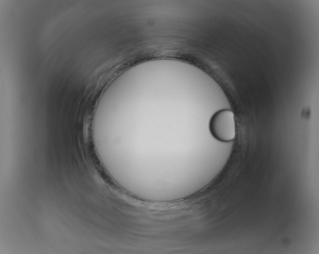 X0000111900026200907271021