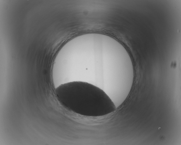 X0000111900027200907271021