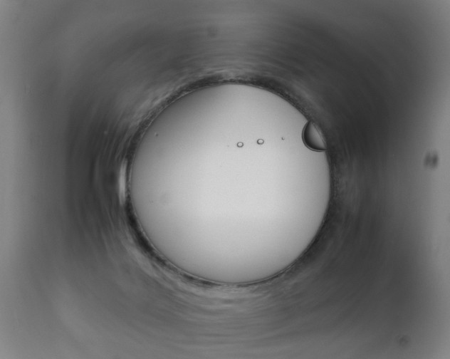 X0000111900028200907271021