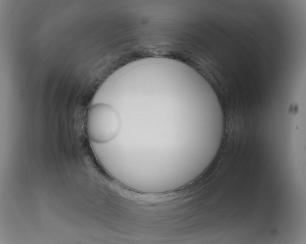 X0000111900030200907271021