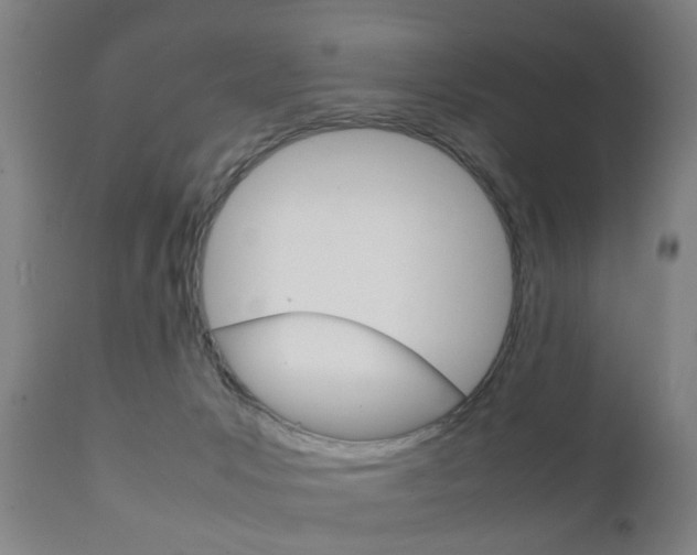 X0000111900031200907271021