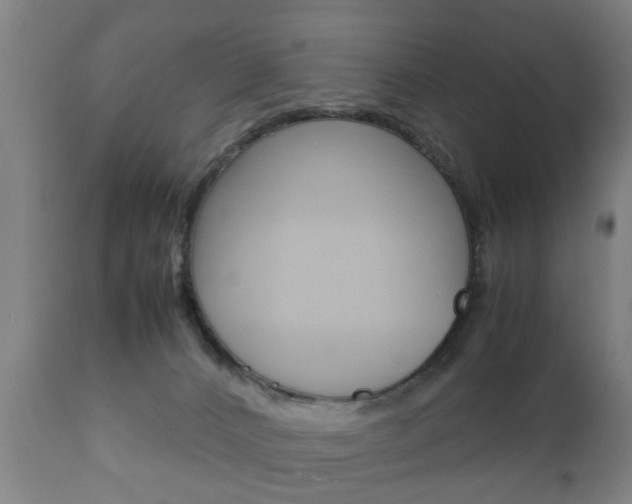 X0000111900032200907271021