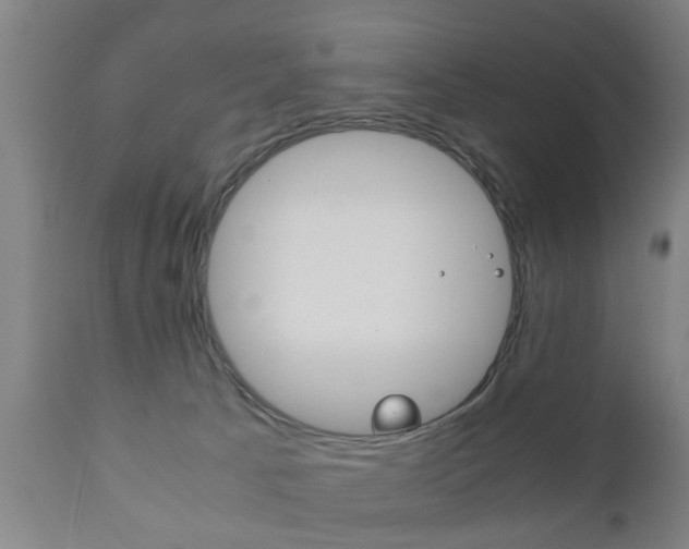 X0000111900033200907271021