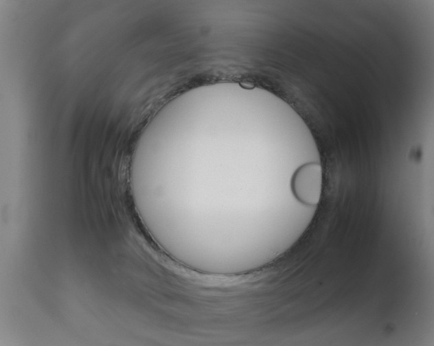 X0000111900034200907271021