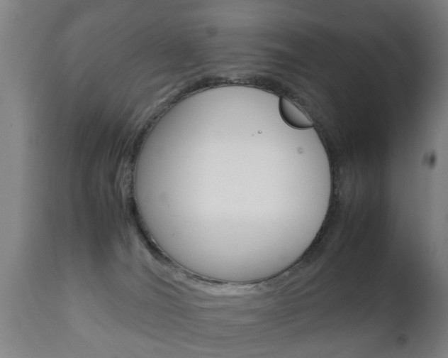X0000111900036200907271021