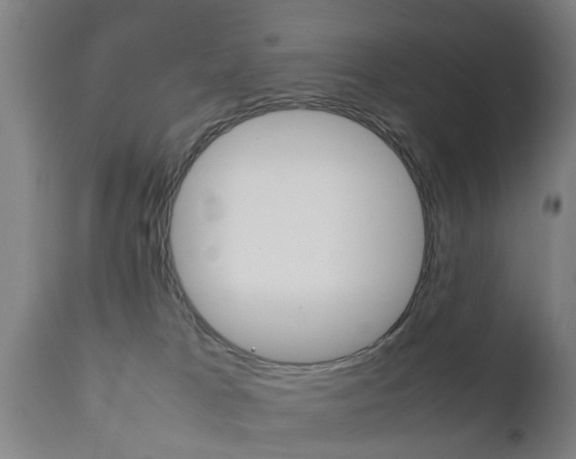 X0000111900037200907271021