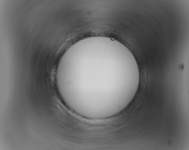 X0000111900038200907271021