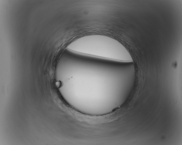 X0000111900039200907271021